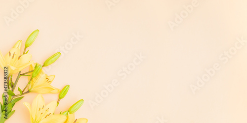 Flat lay frame with yellow lilies on color background