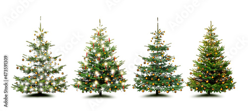 Wunderschöne Weihnachtsbäume freigestellt auf weißem Hintergrund