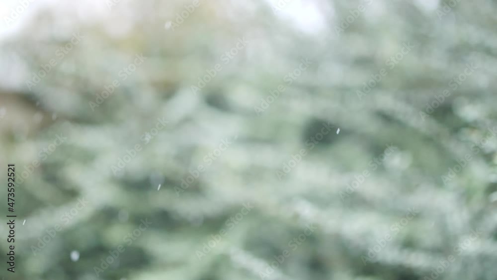 Macro snow flakes in slow motion with greenery in background