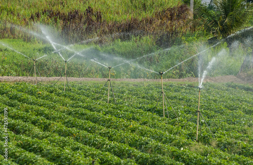 Sprinkler used in farming in Santa Rita, Paraíba, Brazil on December 18, 2004. Brazilian agriculture.