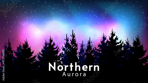 Vector illustration. Bright night. Northern aurora landscape. Design for wallpaper, poster, banner. Forest on foreground and beautiful starry sky on background.