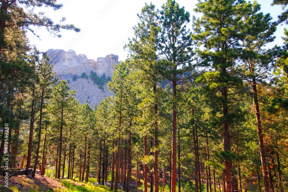Fototapeta premium Mount Rushmore National Memorial, South Dakota