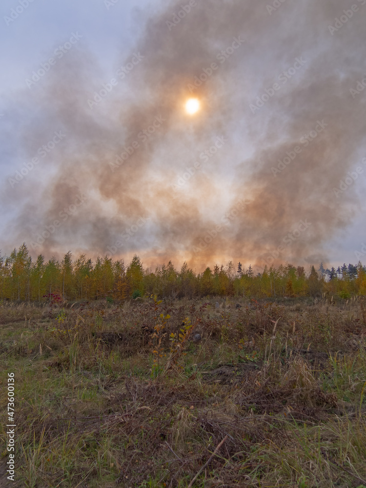 smoke from a forest fire in the sky against the background of the sun smoke from a forest fire in the sky against the background of the sun