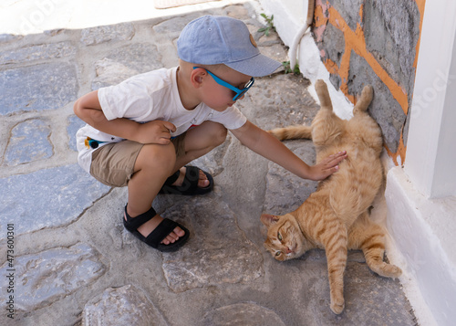 Little boy stroking a cat on the street