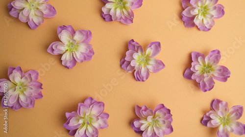 Fototapeta Naklejka Na Ścianę i Meble -  floral background