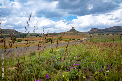 Landscape in the Eastern Freestate of South Africa with an empty road and rock formations and grass seeds in the foreground. This road is between the towns of Clarens and Fouriesburg photo
