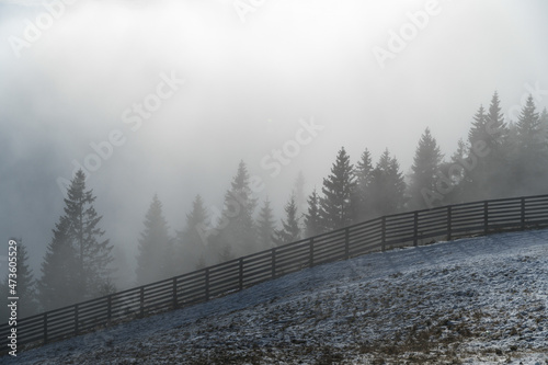 fog in the mountains, Bucegi Mountains, Romania  © Ghidu