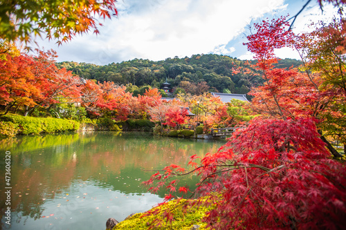 京都　 永観堂の紅葉