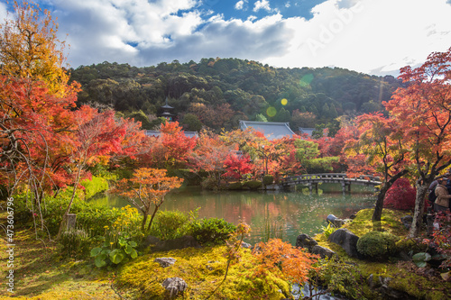 京都 永観堂の紅葉