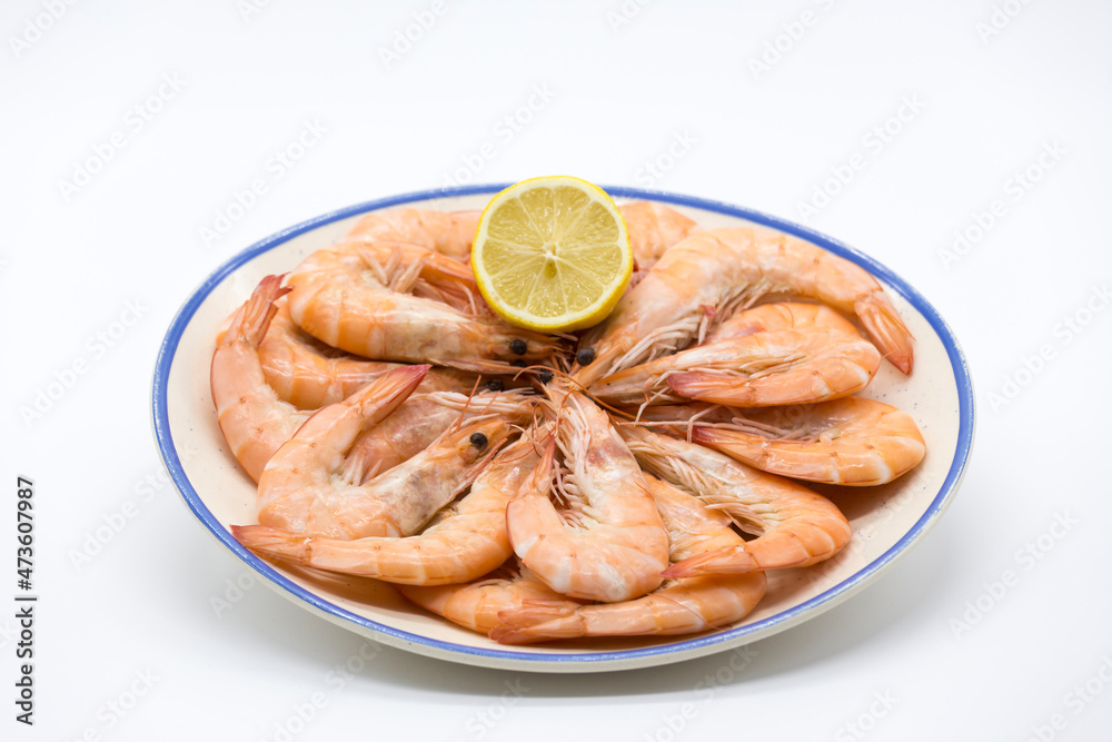 plate of cooked prawns on white background plate of cooked prawns on white background