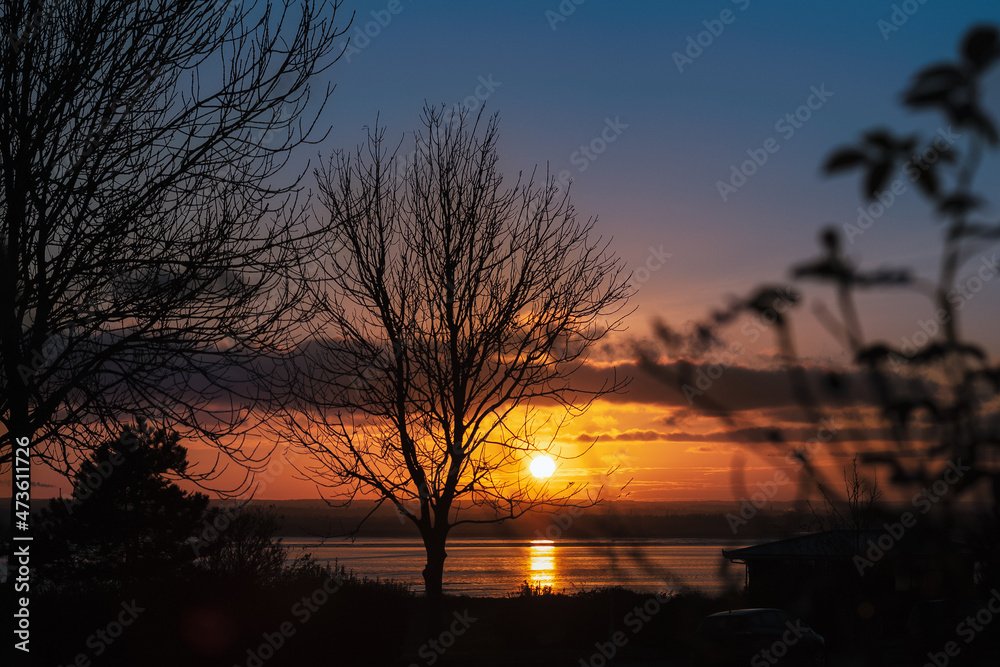 Sunset over Sandwich Bay seen through the trees and bushes of the promenade in Ramsgate Sunset over Sandwich Bay seen through the trees and bushes of the promenade in Ramsgate