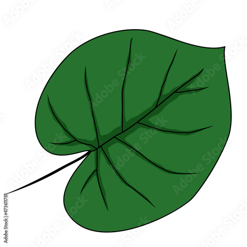 Zielony listek
