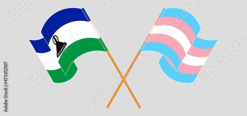 Crossed and waving flags of Kingdom of Lesotho and Transgender Pride