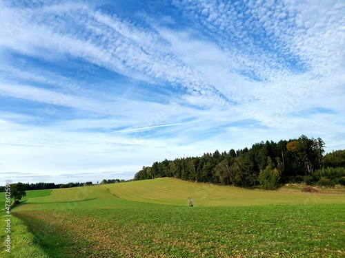 landscape with sky