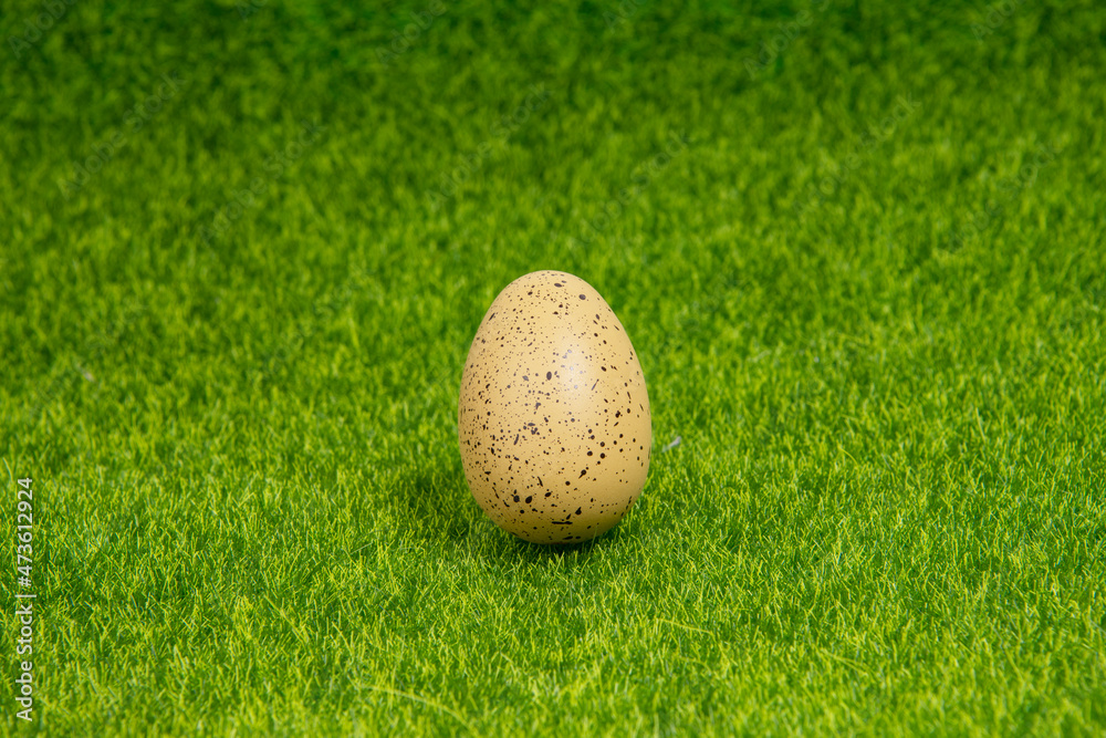 Single one hen egg on green grass background Single one hen egg on green grass background