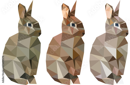 Vector of three polygonal rabbits with natural color pattern