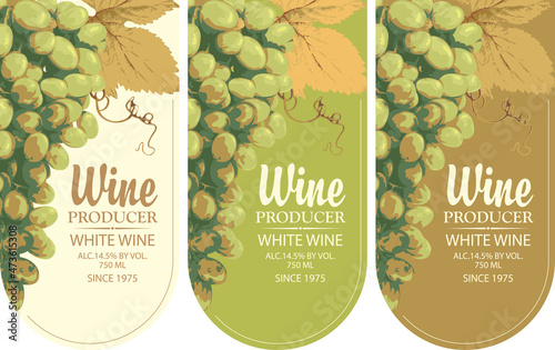 Set of labels for a white wine with realistic bunches of delicious green grapes and inscriptions in a figured frames on a various backgrounds. Vector illustration. Wine collection premium quality