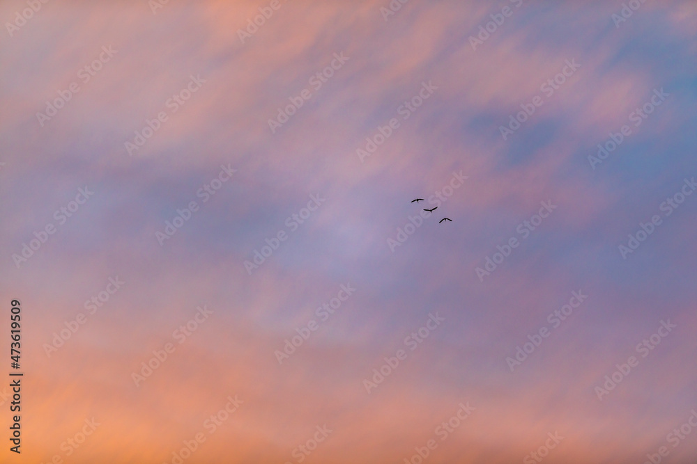 Big Skies with color from sunset