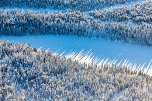 Aerial view of winter trees and snowed in Lakeside cabins in Kuusamo Finnish Lapland photo