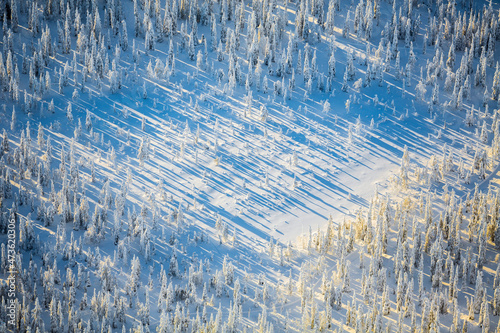 Aerial view of wilderness area covered in snow. Kuusamo, Finnish Lapland, Finland photo