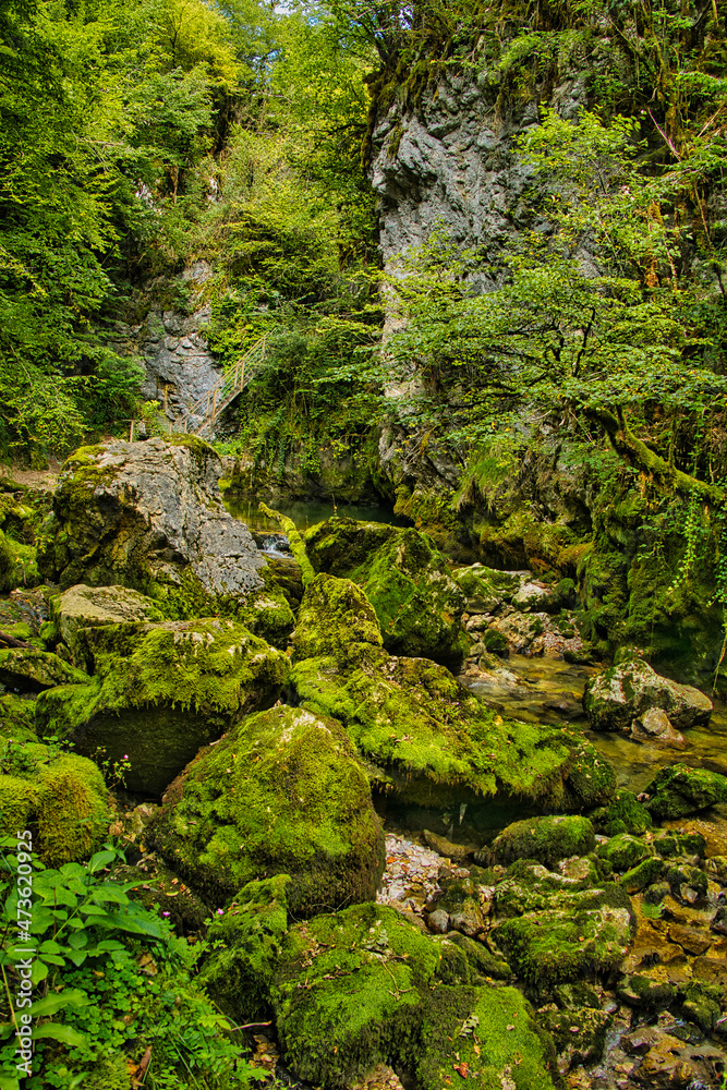 Huge moss-covered boulders in the fairytale Gorges de l’Abime, Saint-Claude, Jura, France, a deep, narrow heavily wooded canyon
Huge moss-covered boulders in the fairytale Gorges de l’Abime, Saint-Claude, Jura, France, a deep, narrow heavily wooded canyon