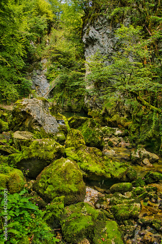 Huge moss-covered boulders in the fairytale Gorges de l’Abime, Saint-Claude, Jura, France, a deep, narrow heavily wooded canyon 