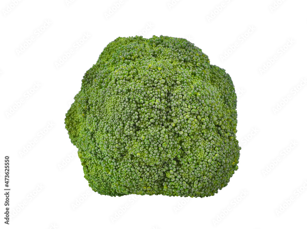 Broccoli isolated on white background. Broccoli isolated on white background.