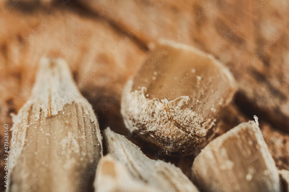 Macro View of Sunflower Seeds on the Wooden Board. Macro View of Sunflower Seeds on the Wooden Board.