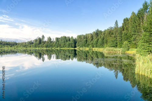 Summer landscape on woodland lake, Podlasie, Poland. Reflection of trees and blue sky with white clouds in the water. Travel and outdoor recreation.