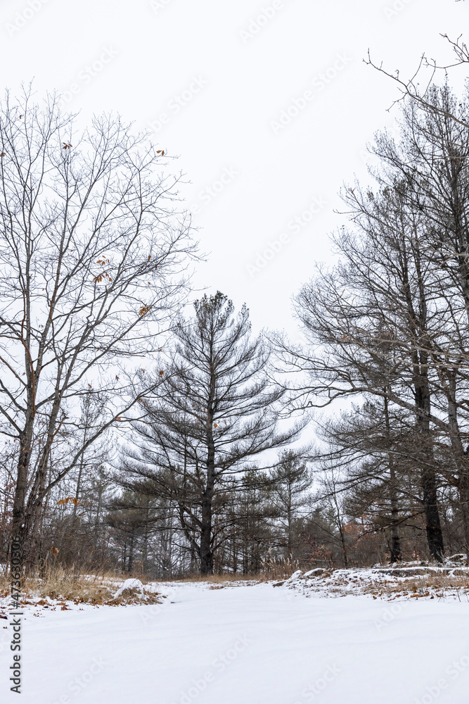 Early winter scenery in Canada, Ontario with thin layer of snow on the ground and half frozen lake.
frozen lake. Early winter scenery in Canada, Ontario with thin layer of snow on the ground and half frozen lake.
frozen lake.