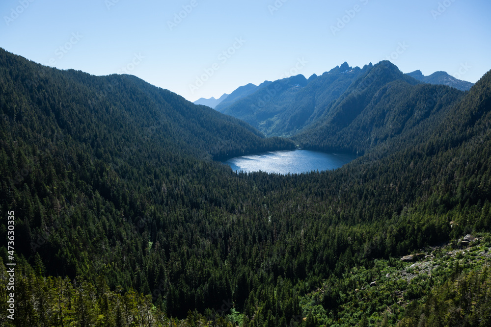 Pristine lake, old growth forest in the mountains of Vancouver Island, B.C., Canada, Clayoquot Sound.