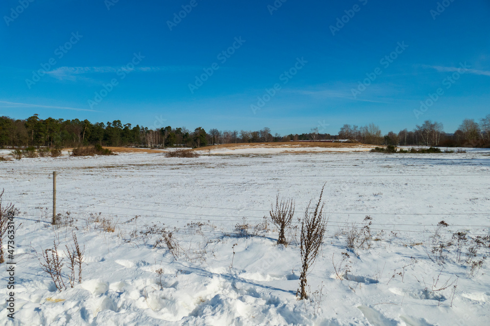 Winterlandschaft im Schnee bedeckten Naturschutzgebiet Sanddünen Baden-Baden Sandweier