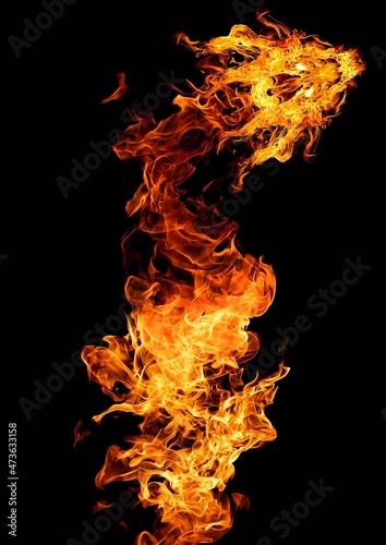 龍の形に燃え上がる火のイラスト