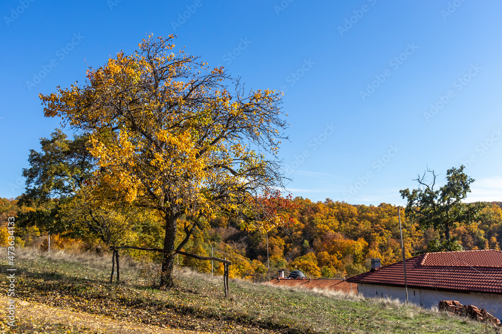 Medieval Tsarnogorski monastery St. Kozma and Damyan, Bulgaria