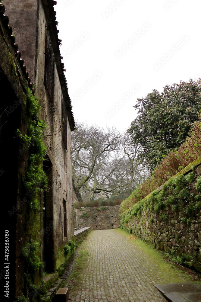 Path between a stone house and a wall in the Park of Santo Domingo de Bonaval, in Santiago de Compostela. Vertical image.