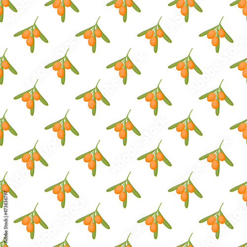 Seamless pattern with sea buckthorn, vector illustration