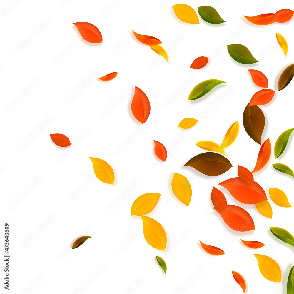Falling autumn leaves. Red, yellow, green, brown c Falling autumn leaves. Red, yellow, green, brown c