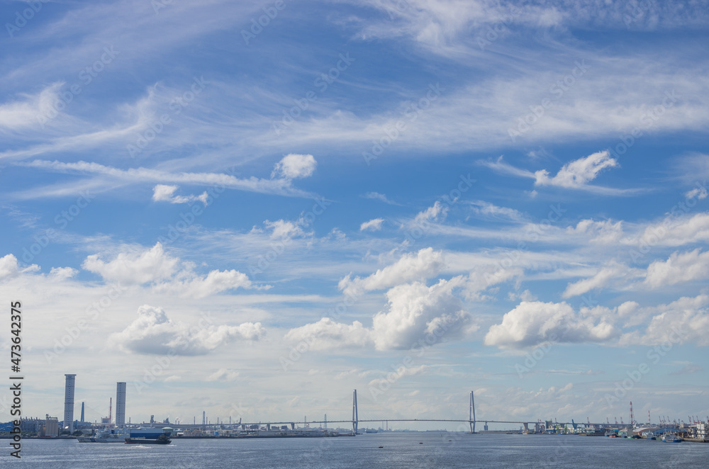 名古屋港ガーデン埠頭から見た大橋