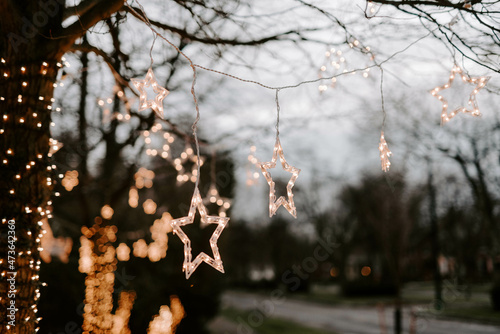 Holiday lights on a tree photo