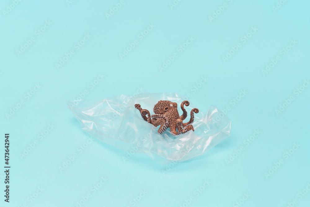 Small ctopus on plastic bag