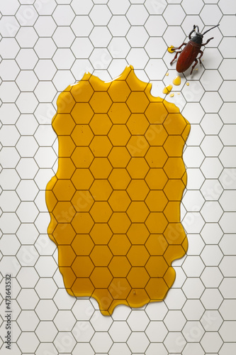 Bug in honey photo