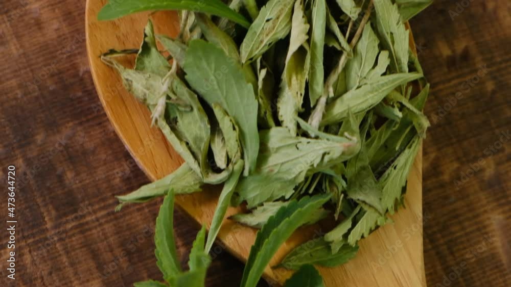 Stevia rebaudiana.natural sweetener.Dry stevia leaves in a wooden spoon. Stevia rebaudiana.natural sweetener.Dry stevia leaves in a wooden spoon.