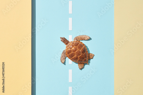 Turtle crossing papercraft car road photo