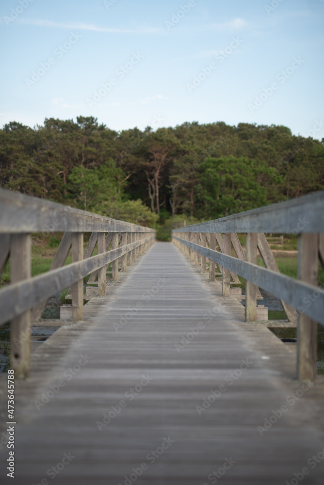 picturesque scenes from a new england summer picturesque scenes from a new england summer