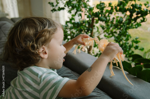 Boy Playing With His Toys Dinosaurs photo