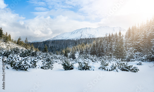 Winter landscape of Tatry mountains in winter, Poland.