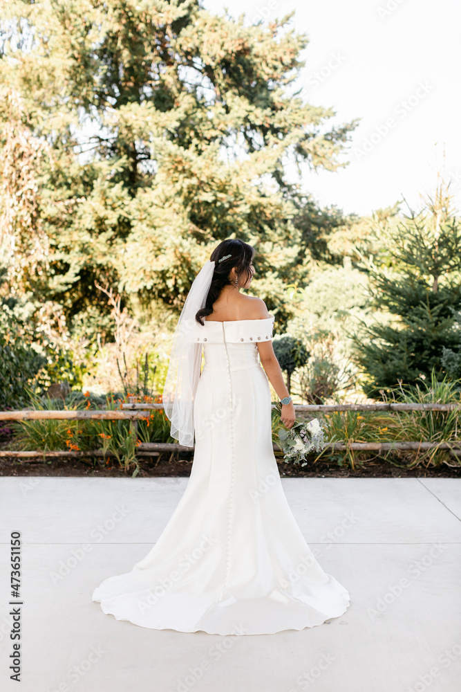 Back of a Beautiful Bride's Wedding Dress Back of a Beautiful Bride's Wedding Dress