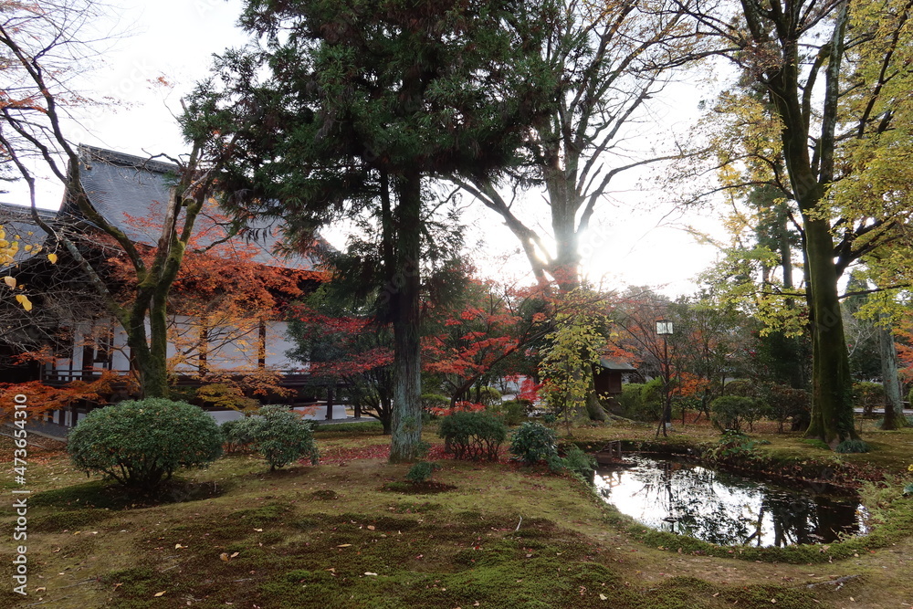  Hon-do Main Hall and autumn leaves in the evening  in the precincts of Koryu-ji Temple at Uzumasa in Kyoto City in Japan 日本の京都市太秦にある夕方の広隆寺境内本堂裏と紅葉