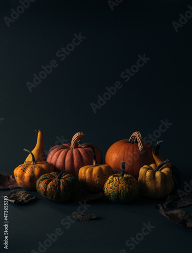 Decorative pumpkins photo