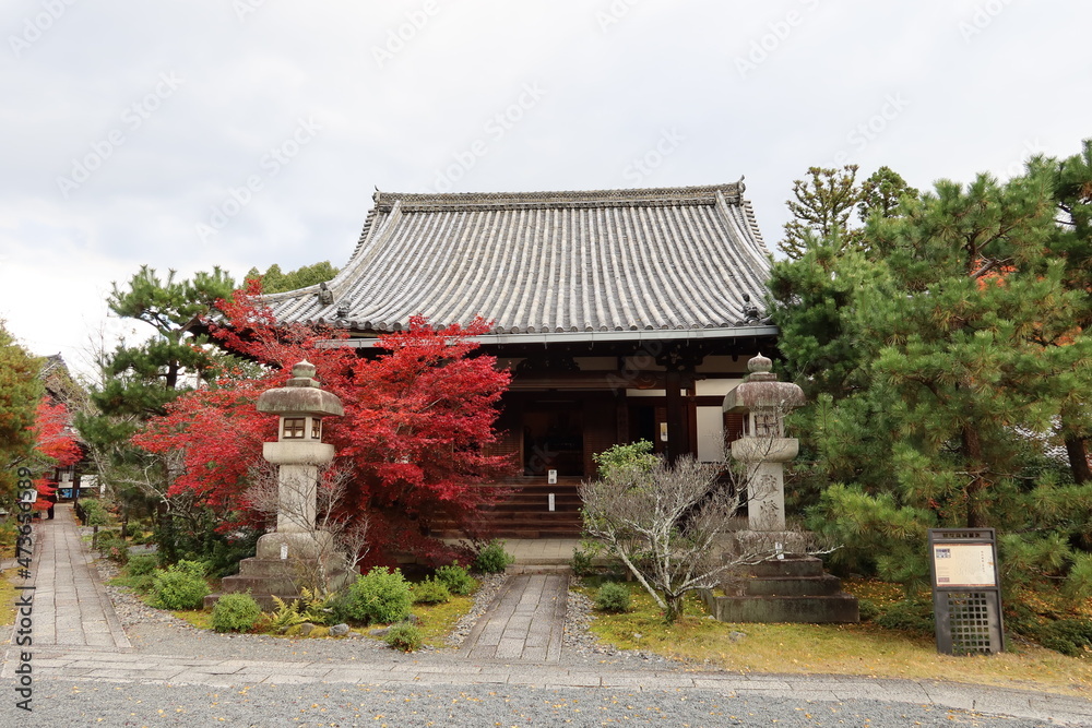 Hon-dou Main Hall and autumn leaves in the precincts of Seiryou-ji Temple at Arashiyama in Kyoto City in Japan 日本の京都市嵐山にある清涼寺境内の本堂と紅葉